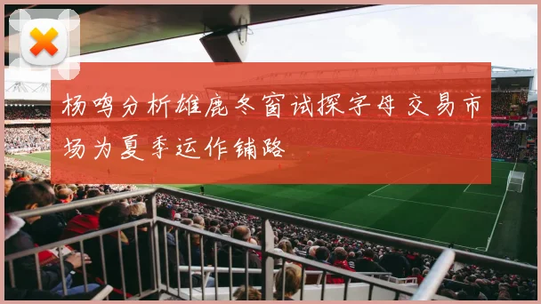 杨鸣分析雄鹿冬窗试探字母交易市场为夏季运作铺路