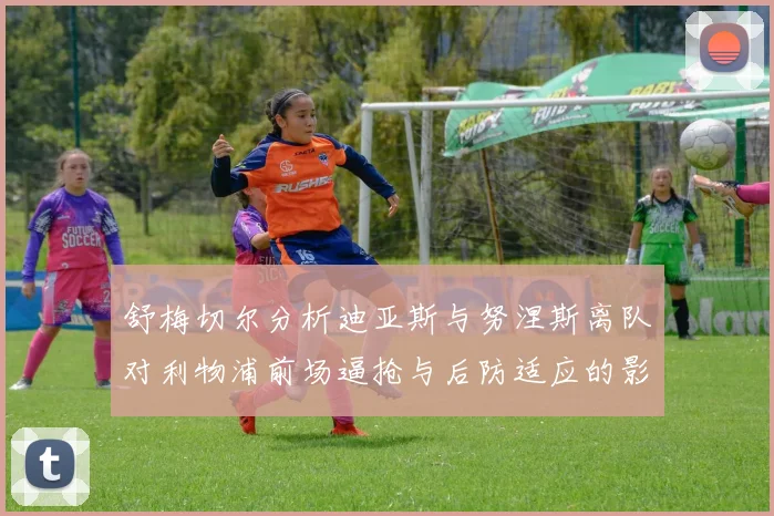 舒梅切尔分析迪亚斯与努涅斯离队对利物浦前场逼抢与后防适应的影响